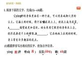 部编版八年级上册语文习题课件 第5单元 20 蝉