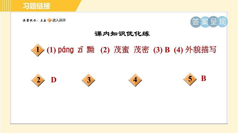部编版八年级上册语文习题课件 第2单元 8. 列夫•托尔斯泰02