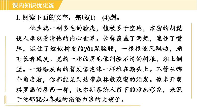 部编版八年级上册语文习题课件 第2单元 8. 列夫•托尔斯泰05