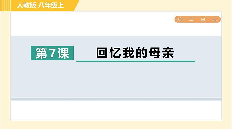 部编版八年级上册语文习题课件 第2单元 7. 回忆我的母亲第1页