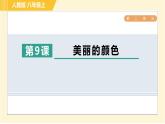 部编版八年级上册语文习题课件 第2单元 9. 美丽的颜色