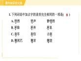部编版八年级上册语文习题课件 第1单元 3. “飞天”凌空—跳水姑娘吕伟夺魁记