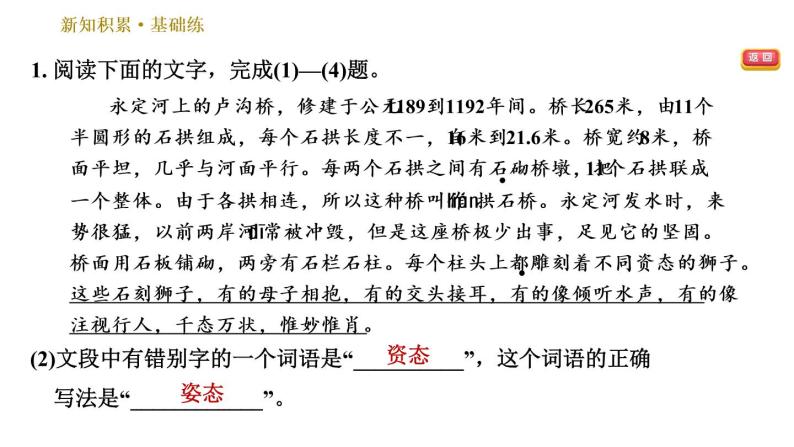 部编版八年级上册语文习题课件 第5单元 18 中国石拱桥06