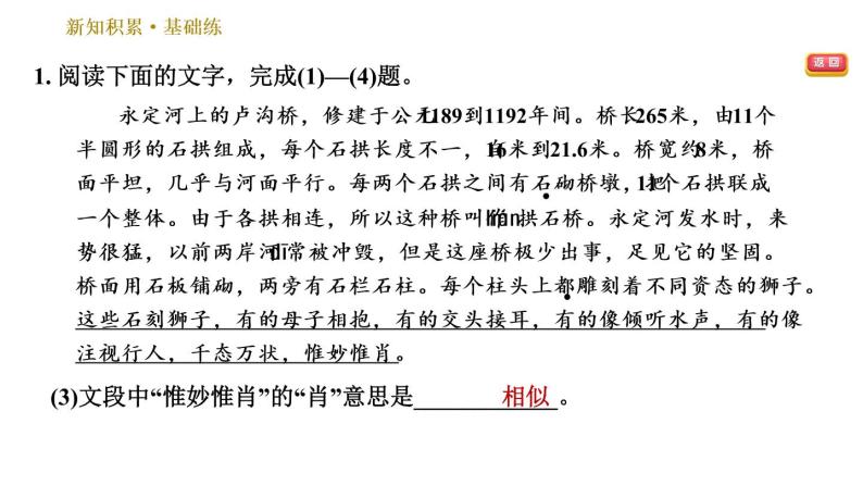 部编版八年级上册语文习题课件 第5单元 18 中国石拱桥07