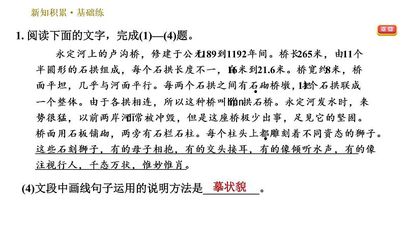 部编版八年级上册语文习题课件 第5单元 18 中国石拱桥第8页