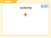 部编版八年级上册语文习题课件 第3单元 10. 三峡