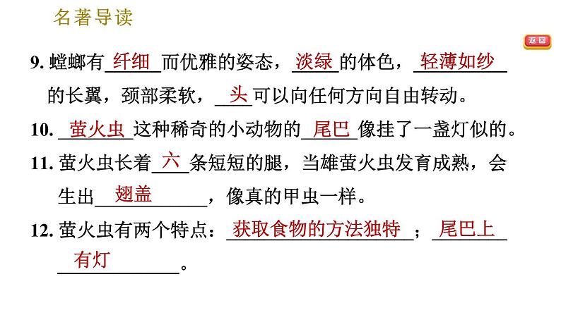 部编版八年级上册语文习题课件 第5单元 名著导读《昆虫记》科普作品的阅读07