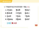 部编版八年级上册语文习题课件 第3单元 13. 唐诗五首