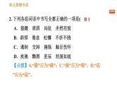 部编版八年级上册语文习题课件 第4单元 单元易错专训