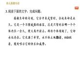 部编版八年级上册语文习题课件 第4单元 单元易错专训