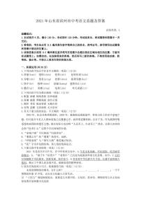 2021年山东省滨州市中考语文真题解析版
