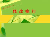 中考语文专题复习之句（病句）（33张）