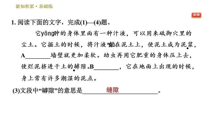 部编版八年级上册语文习题课件 第5单元 20 蝉第6页