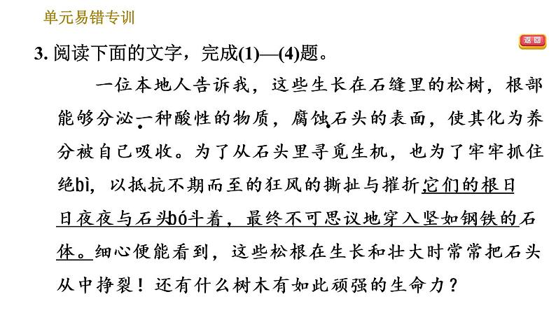部编版八年级上册语文习题课件 第5单元 单元易错专训第5页