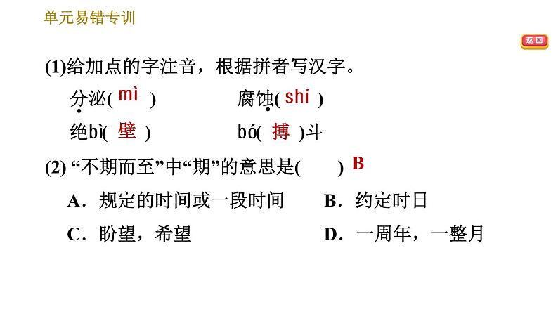 部编版八年级上册语文习题课件 第5单元 单元易错专训第6页