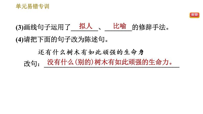 部编版八年级上册语文习题课件 第5单元 单元易错专训第7页