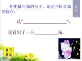 16《猫》课件1