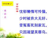 16《猫》课件1