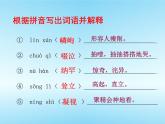 鸟PPT课件免费下载