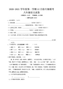 江苏省徐州市睢宁县2020-2021学年八年级12月片级联考语文试题