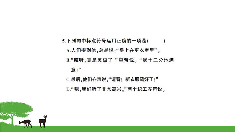 21皇帝的新装第5页