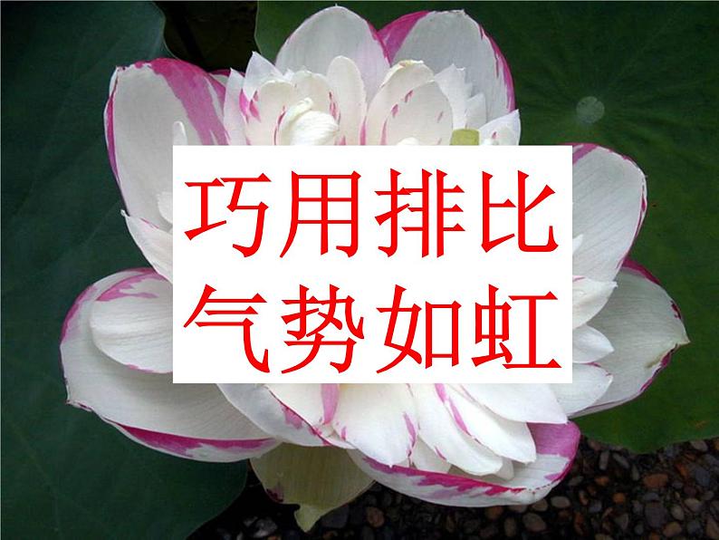 精彩作文开头赏析课件PPT02