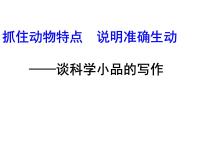 说明文写作抓住特征介绍动物课件PPT
