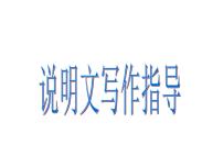 说明文写作指导课件