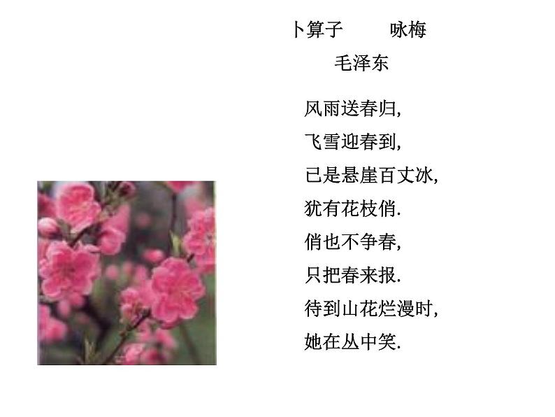 作文立意指导课件PPT第2页
