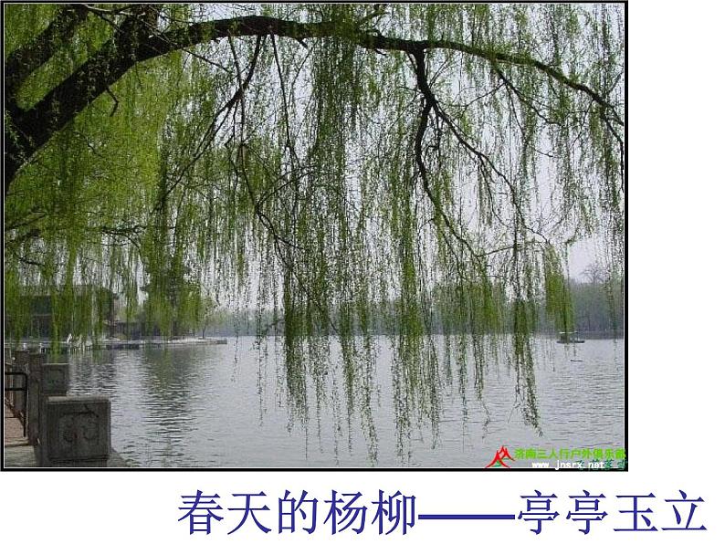 中考作文结构篇——详略(1)课件PPT01