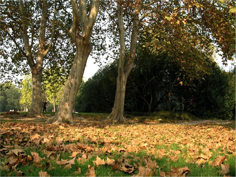 作文教学-写景作文指导课件PPT第2页