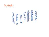 说明文写作指导PPT课件