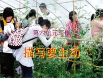 第六单元写作  描写要生动   主课件