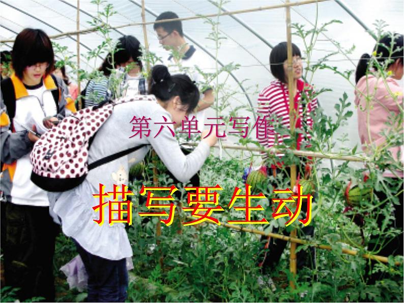 第六单元写作  描写要生动   主课件第1页