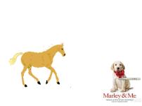 创新作文  多角度立意课件PPT