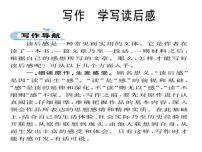 第三单元写作 学写读后感 4课件PPT