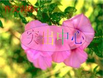 初中语文写作 如何突出中心教案