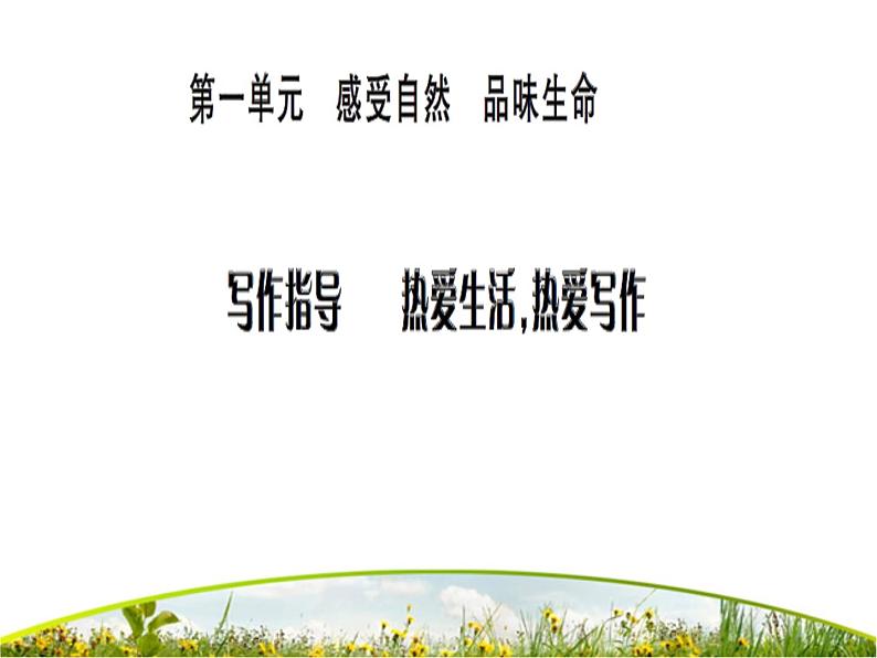 写作指导 热爱生活，热爱写作课件PPT第1页