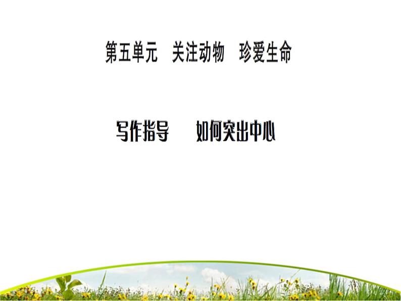 写作指导：如何突出中心ppt课件教案01
