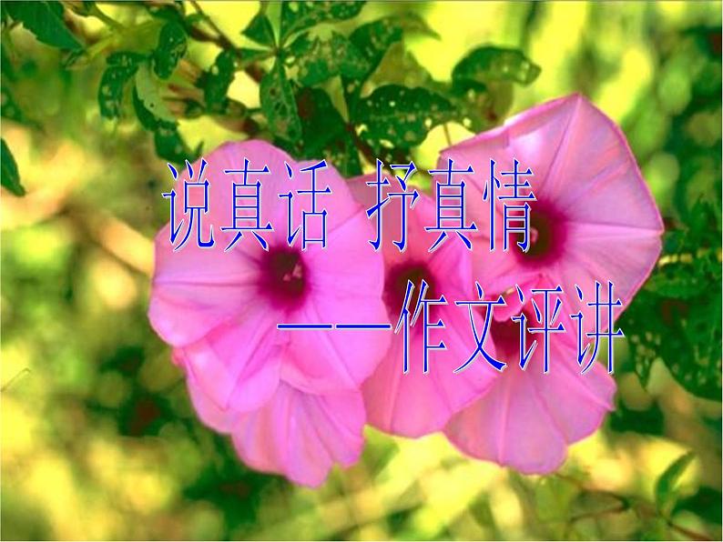 说真话 抒真情作文讲评课件PPT01