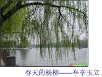 中考作文结构篇——详略课件PPT