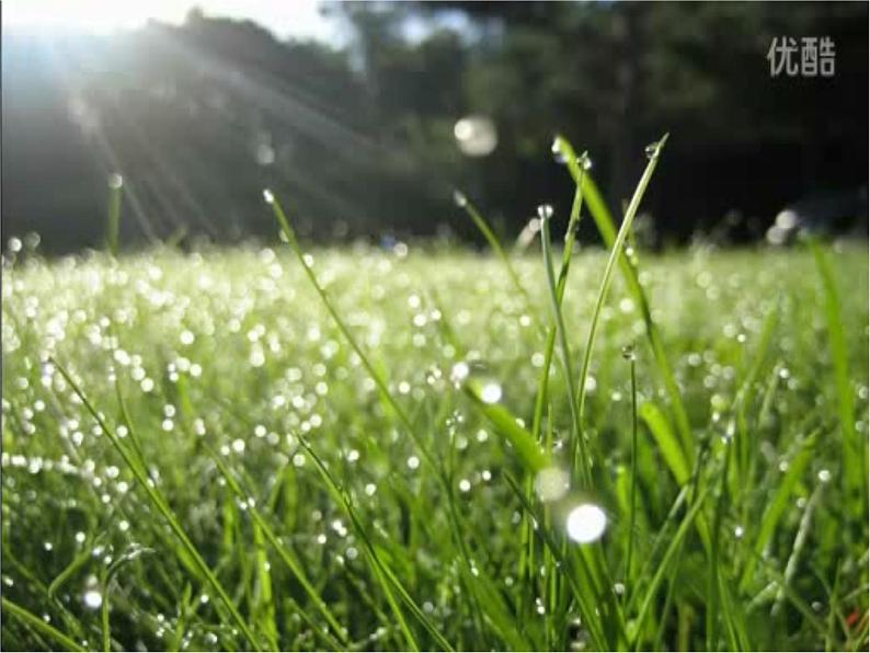 作文审题与立意课件PPT第7页