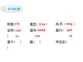 16 昆明的雨课件PPT