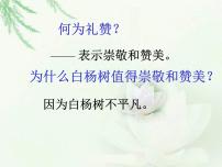 初中语文人教部编版八年级上册14 白杨礼赞教课ppt课件