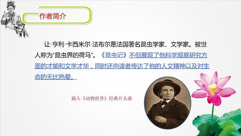 昆虫记课件PPT02