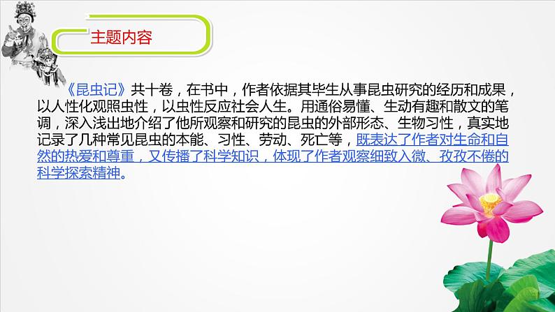 昆虫记课件PPT03