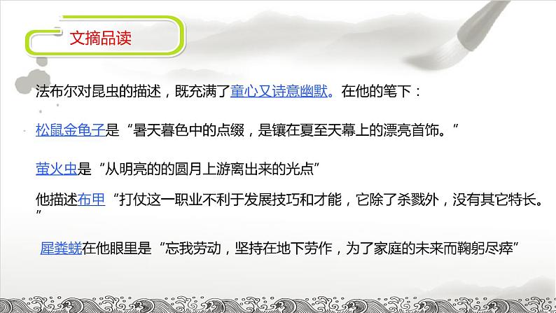 昆虫记课件PPT06