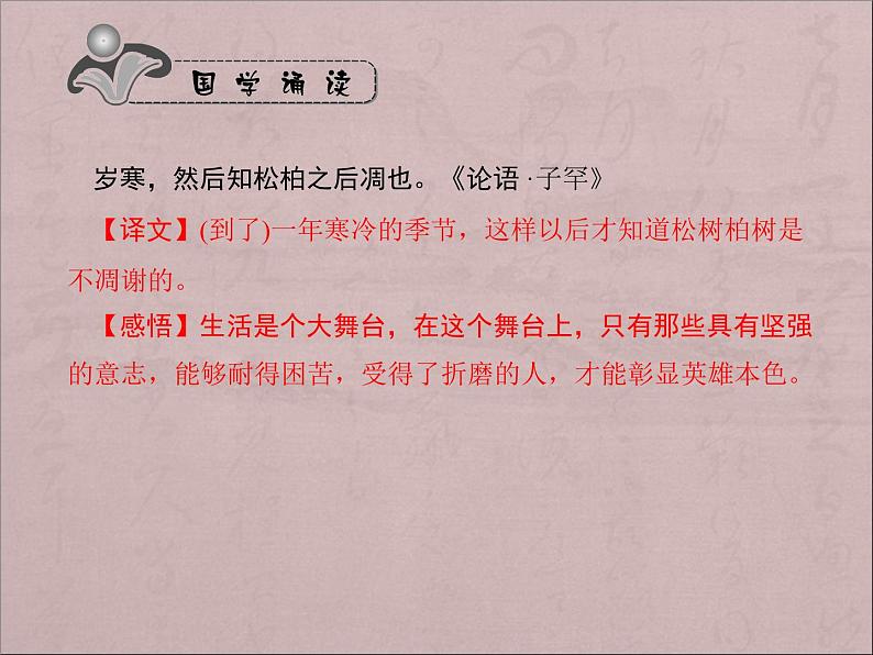 14、白杨礼赞1课件PPT第6页