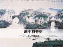 初中语文人教部编版八年级上册庭中有奇树背景图ppt课件