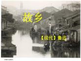 部編版九年級(jí)語(yǔ)文上冊(cè)第14課《故鄉(xiāng)》課件（共63張PPT）